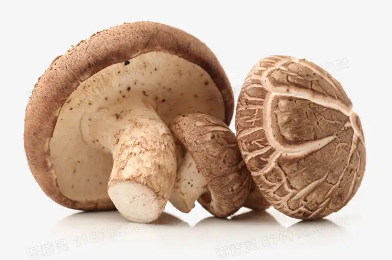 Ergothioneine Supplement Benefits for Skin & Energy